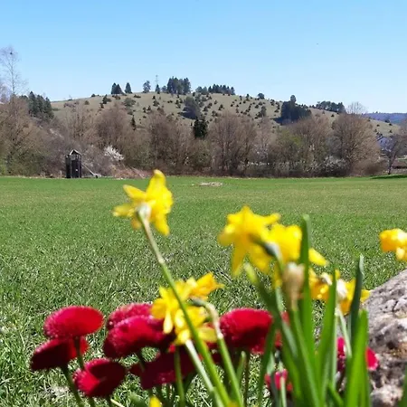 Gaestewohnung Am Sternberg